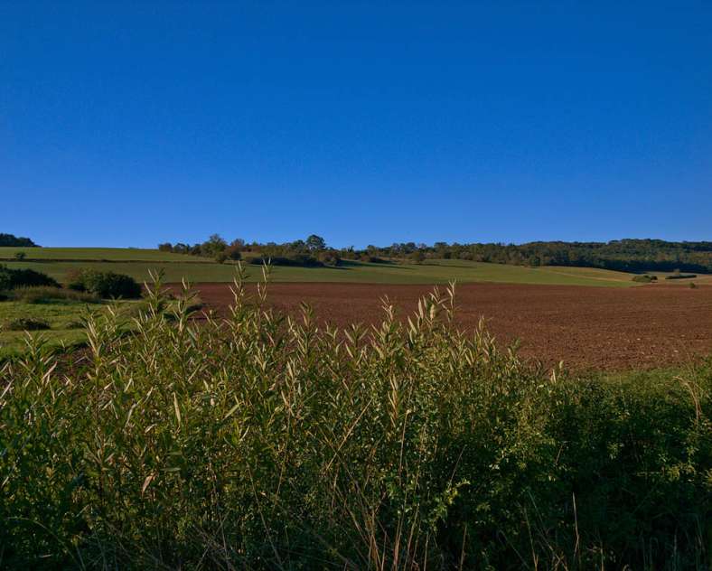 Emmanuel Stourm 2020
Licence Open Data Zwischen Obstgärten und Wäldern