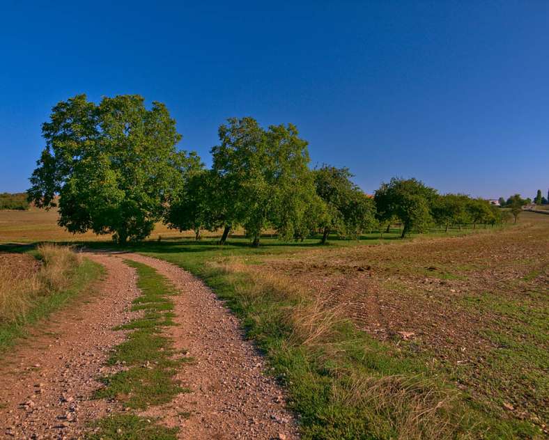 Emmanuel Stourm 2020
Licence Open Data Die Hänge von Albestroff