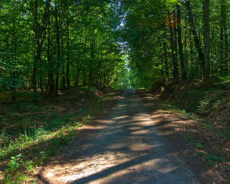 Emmanuel Stourm 2020
Licence Open Data Schleife von Sainte-Anne