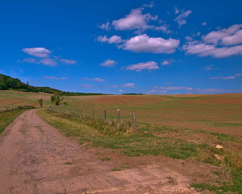 Emmanuel Stourm 2020
Licence Open Data Zwischen Wald und Salzwiesen