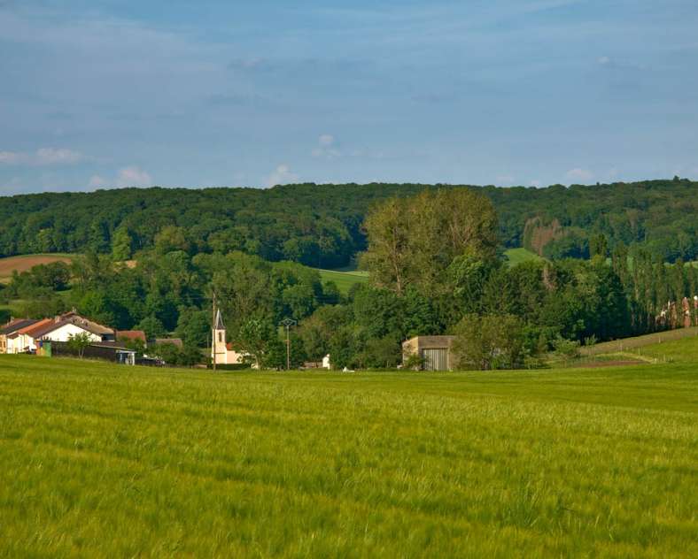 Emmanuel Stourm 2021
Licence Open Data  Der Weg nach Udera