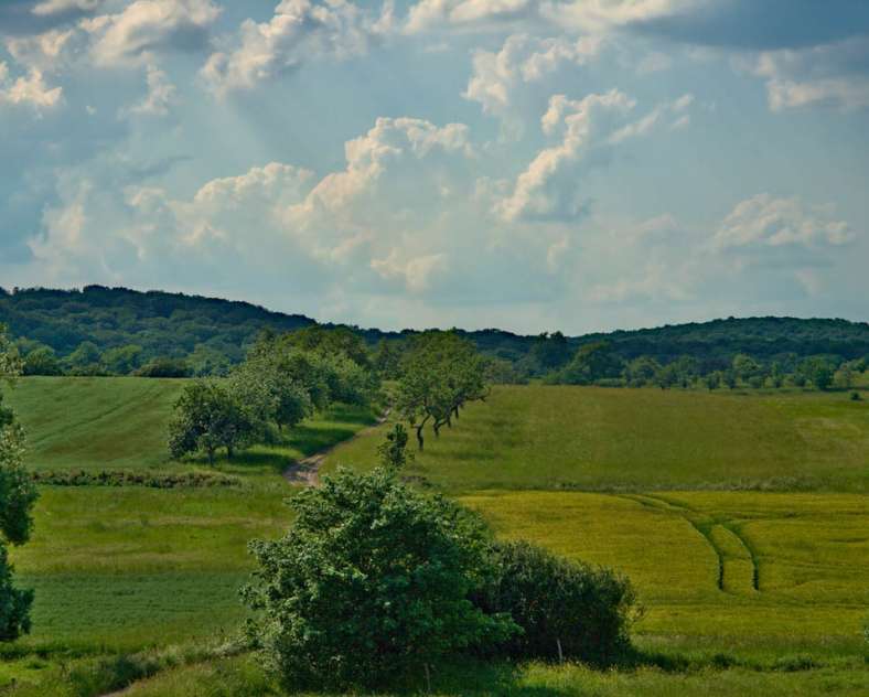 Emmanuel Stourm 2021
Licence Open Data  Der Weg nach Udera