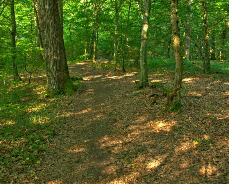 Emmanuel Stourm 2021
Licence OpenData Die vier Herren