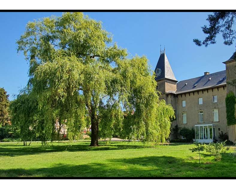 CHÂTEAU DE LOGNE - WOHNUNG N°1