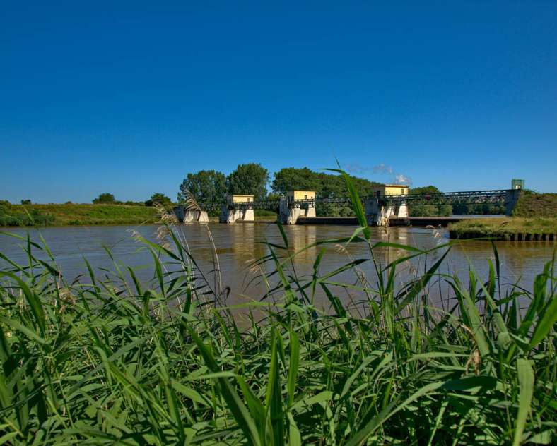 Emmanuel Stourm 2021 Le petelot