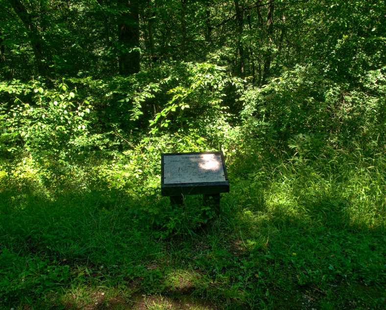 Emmanuel Stourm 2021 Le petelot