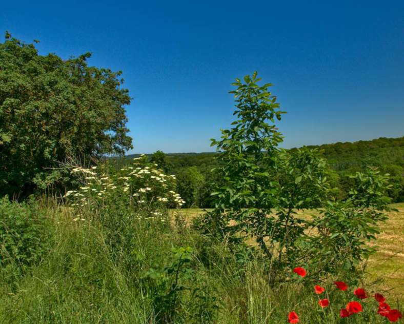 Emmanuel Stourm 2021 Auf den Spuren der Römer