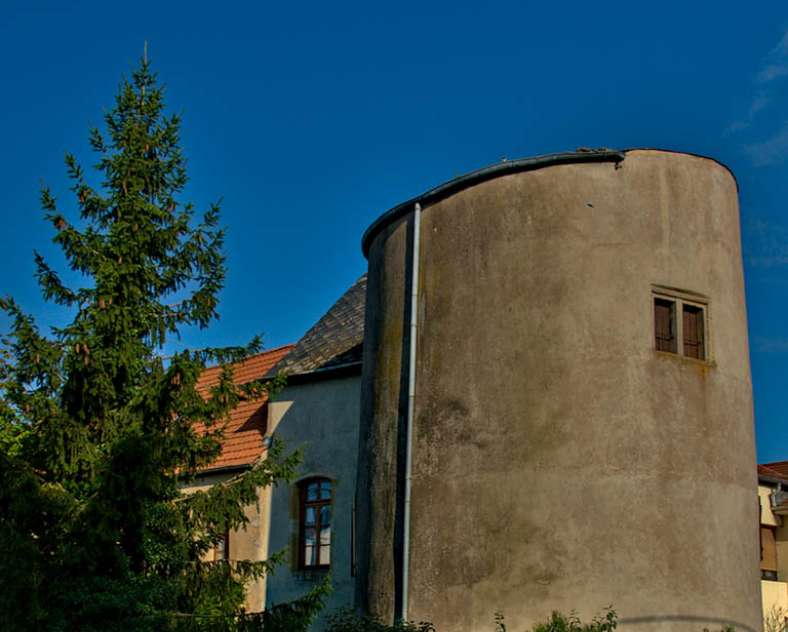 Emmanuel Stourm 2021 Die hübschen Narren