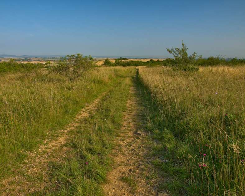 Emmanuel Stourm 2021 Die Quellen von Elme