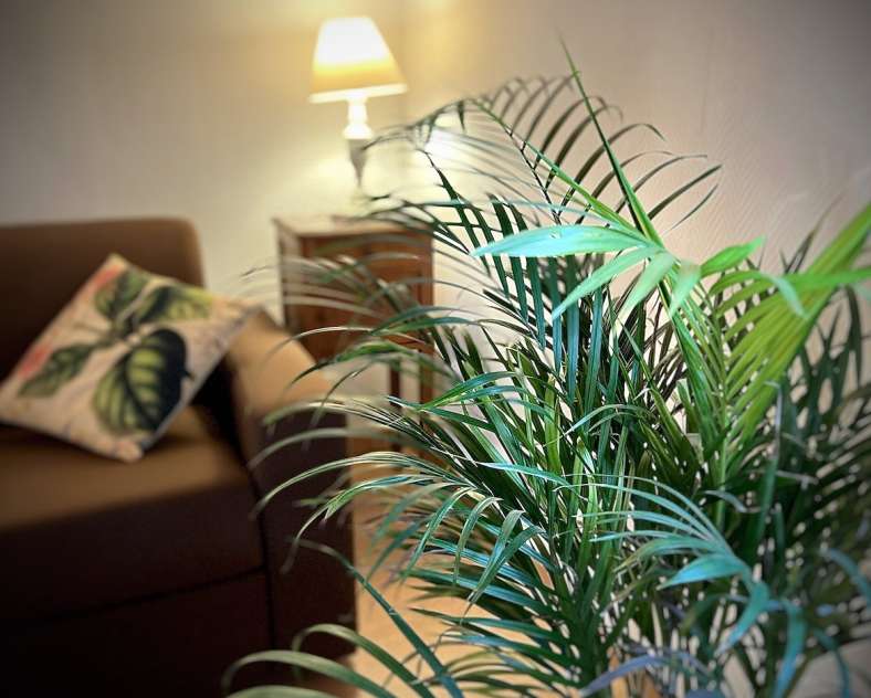 Château de Logne  Château de Logne - appartement n°6