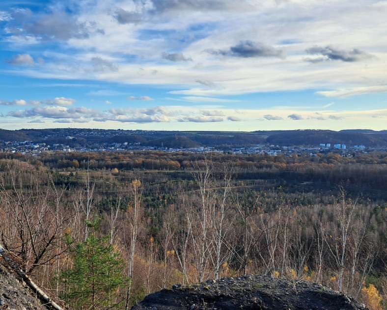 Office de tourisme du Pays de Forbach  Karriere-Route