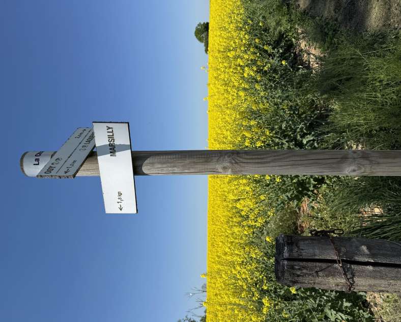 Communauté de Communes du Haut Chemin Pays de Pange Circuit à travers champs