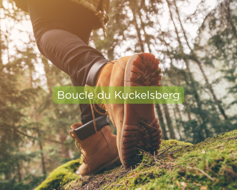 Trois Frontières Tourisme  Boucle du Kuckelsberg