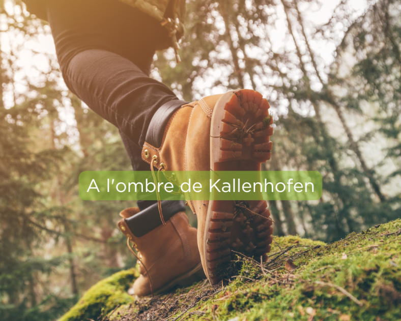 Trois Frontières Tourisme Circuit À l'ombre de Kallenhofen