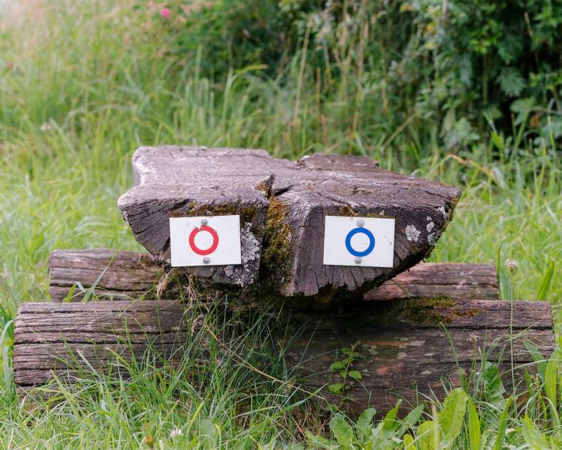 CTurpin_SarregueminesTourisme  Die Bombelles Sraße