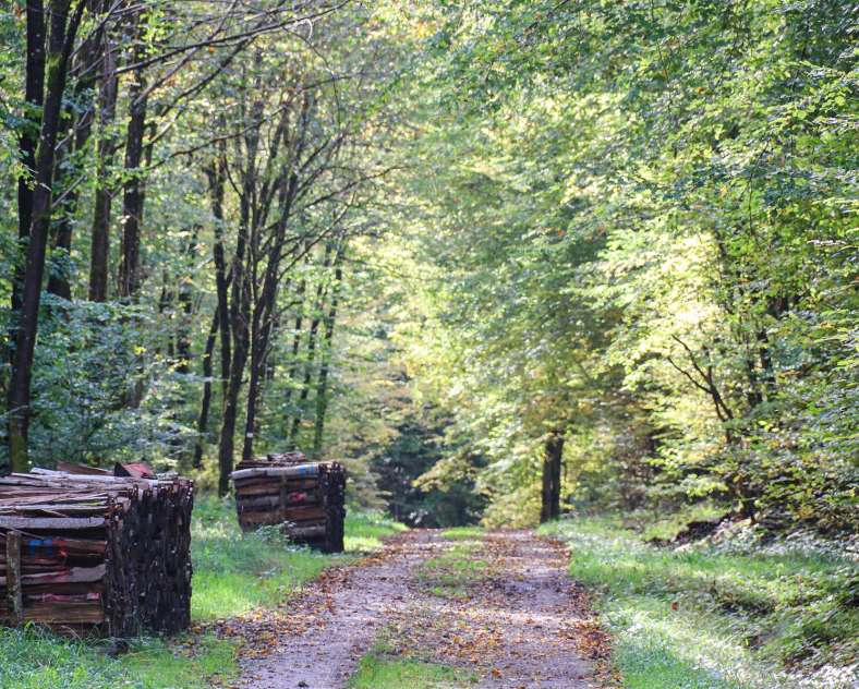 CTurpin_SarregueminesTourisme Auf den Spuren der Spiritaner