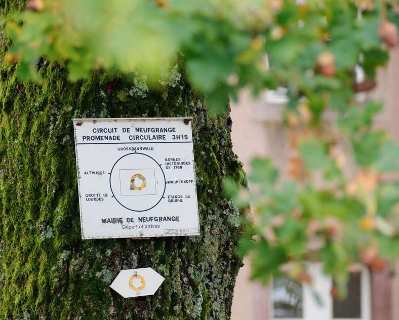 CTurpin_SarregueminesTourisme Auf den Spuren der Spiritaner