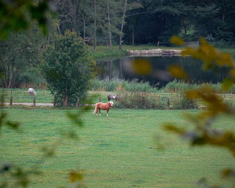 Jlauer_SgmsTourisme Weg des Lebens und der Höhenzüge
