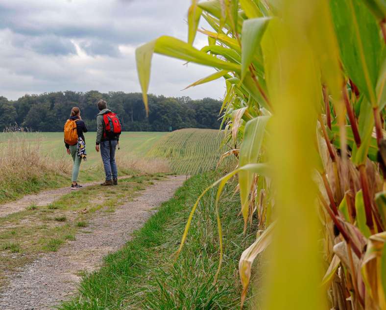 Jlauer_SgmsTourisme Weg des Lebens und der Höhenzüge