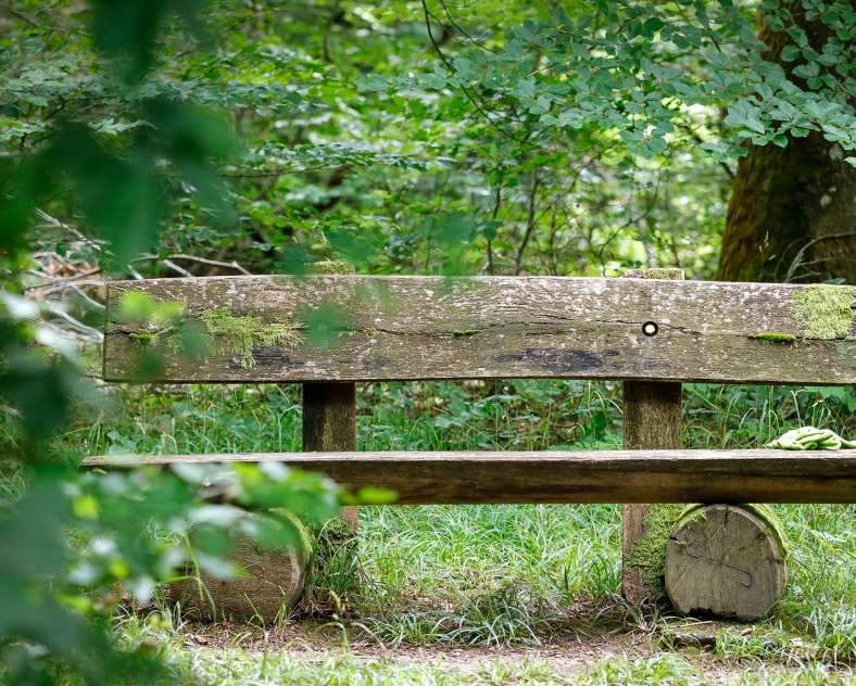 CTurpin - Sarreguemines Tourisme  Der gekrönte Löwe