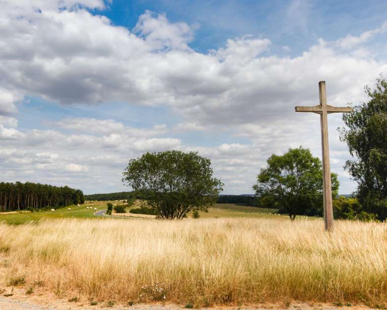 CTurpin - Sarreguemines Tourisme  Der gekrönte Löwe