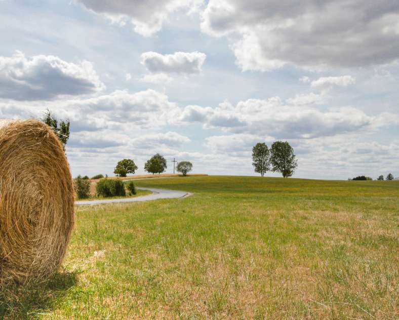 CTurpin - Sarreguemines Tourisme  Der gekrönte Löwe