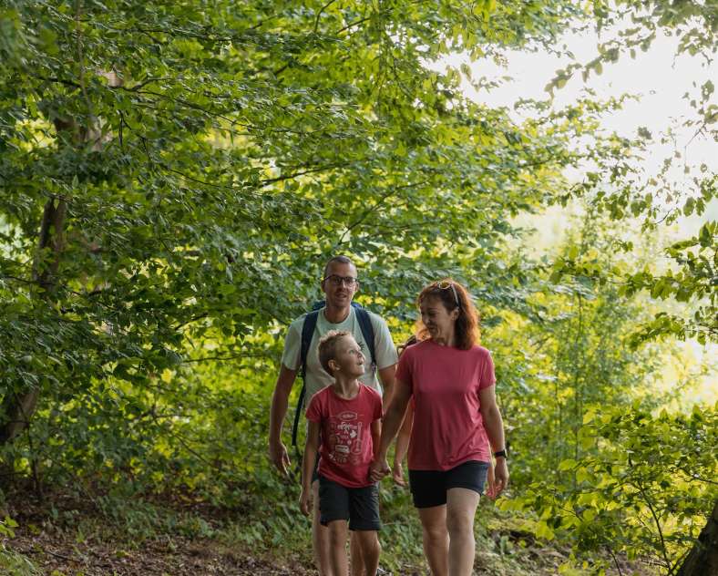 Alex Fabing Production Wanderung um den Hirbach-Weiher