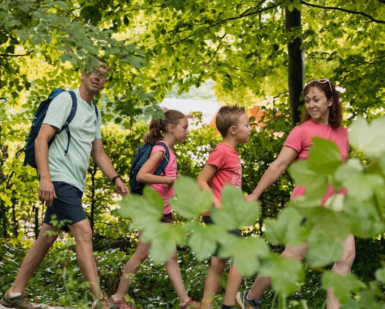 Alex Fabing Production Wanderung um den Hirbach-Weiher