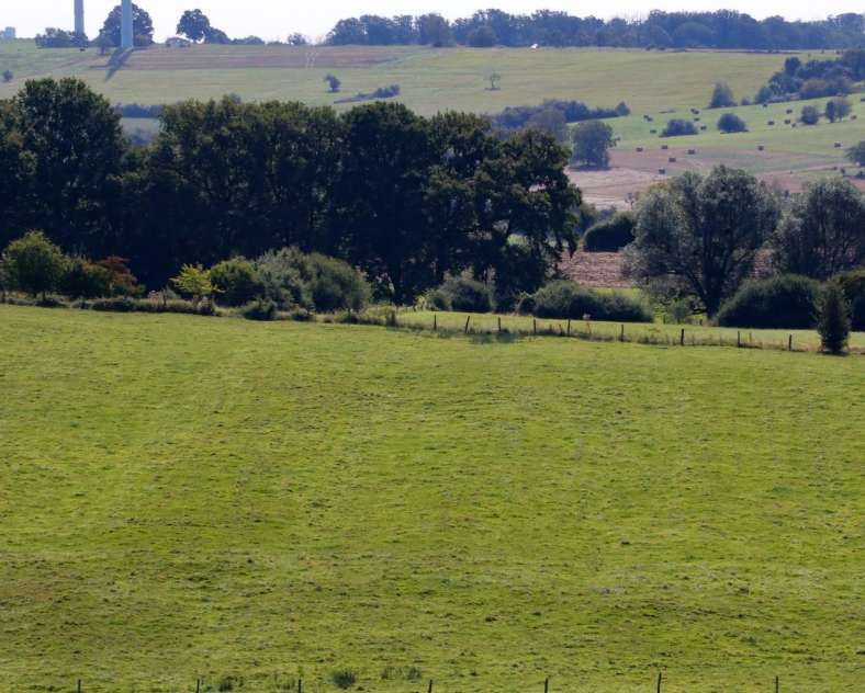 CTurpin - Sarreguemines Tourisme Der Weg der Obstbäume