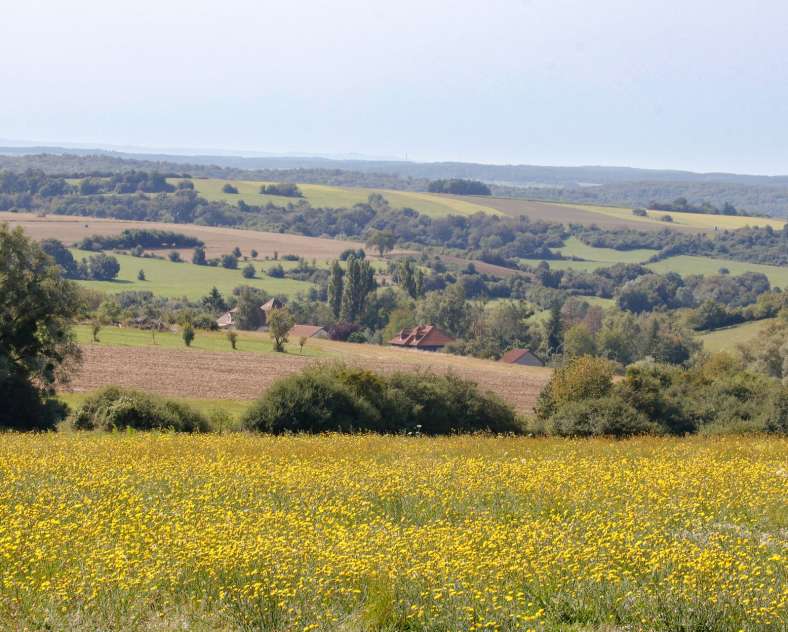 CTurpin - Sarreguemines Tourisme Der Weg der Obstbäume