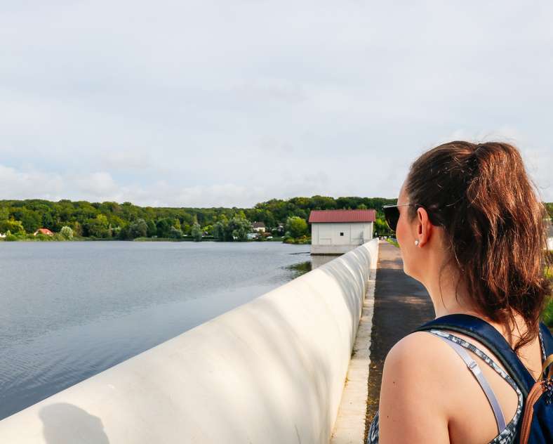 Sarreguemines Tourisme Die Eiche und das Schilfrohr