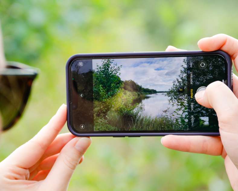 Sarreguemines Tourisme Die Eiche und das Schilfrohr