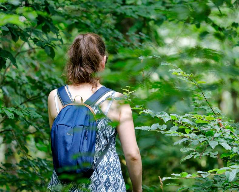 Sarreguemines Tourisme Der Schilf-Rundweg