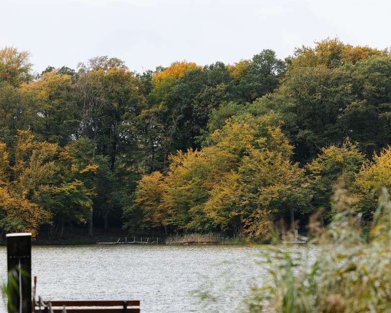 Alex Fabing Production  Rund um den Marais-Weiher