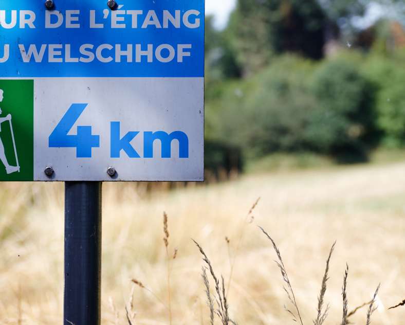 Sarreguemines tourisme Der Welschhof-Weiher-Rundweg