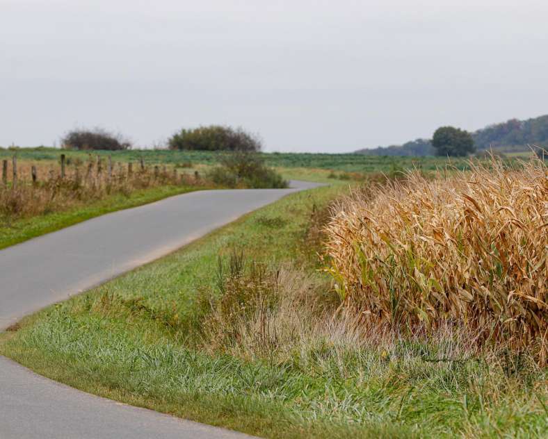 CTurpin_SarregueminesTourisme Von der Farm zu den Weiden
