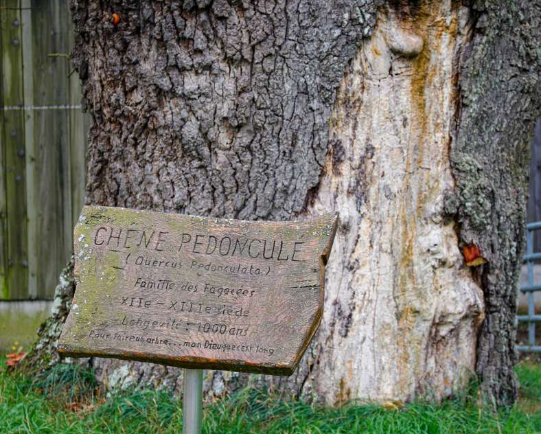 CTurpin_SarregueminesTourisme Von der Farm zu den Weiden