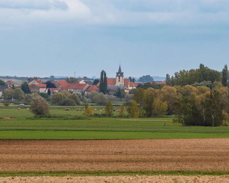 CTurpin_SarregueminesTourisme  Kolchis und Sumpf