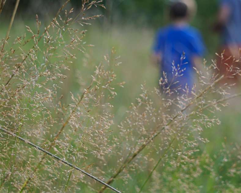 CTurpin_SarregueminesTourisme  Torfmoore und Sümpfe