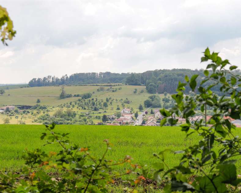 CTurpin_SarregueminesTourisme  Der Langenberg