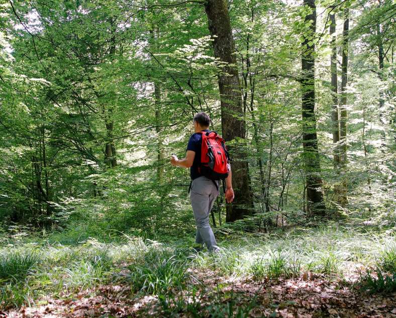 CTurpin_SarregueminesTourisme Entlang der Bunker