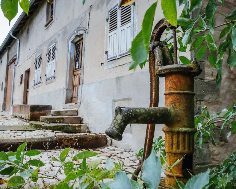 CTurpin_SarregueminesTourisme Die Hamann Eiche