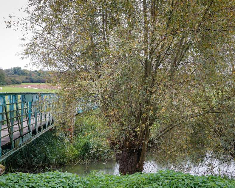 CTurpin_SarregueminesTourisme Die Hamann Eiche