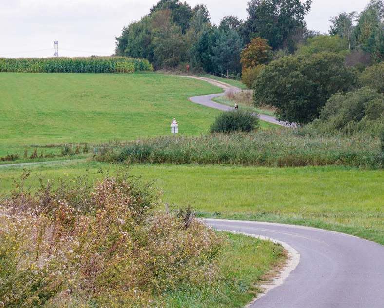 CTurpin_SarregueminesTourisme Die Hamann Eiche