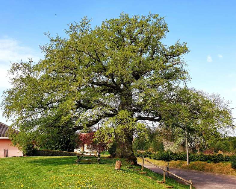 Commune de Waldweistroff Circuit entre rivière et forêt dans le Pays de la Nied