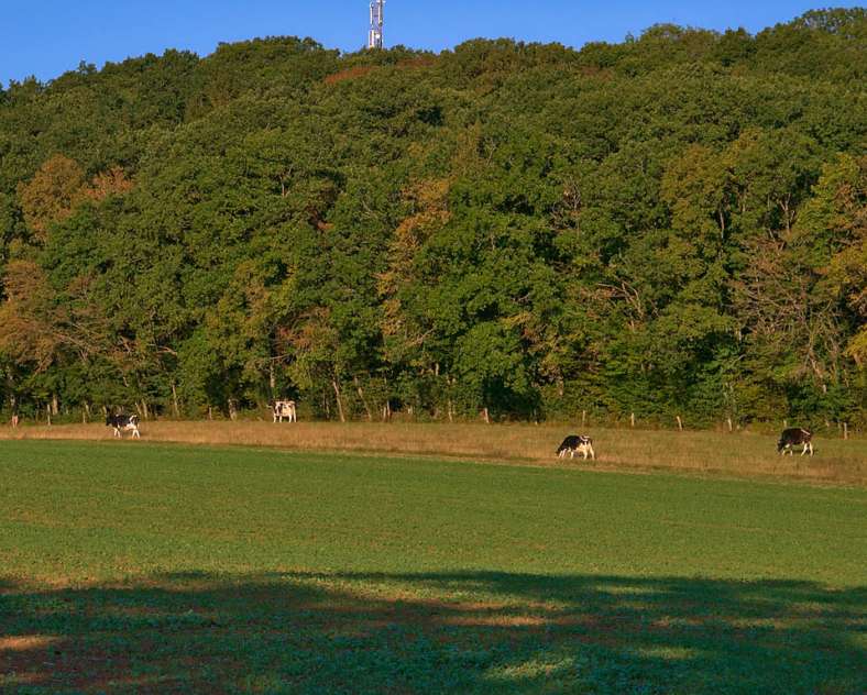 Moselle Attractivité Autour de l'Albe et de la Rose