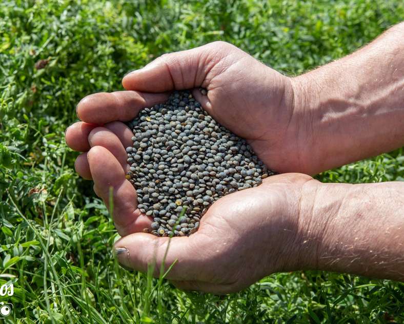 Les photos de Véro - Photographe Ferme de Neudelange