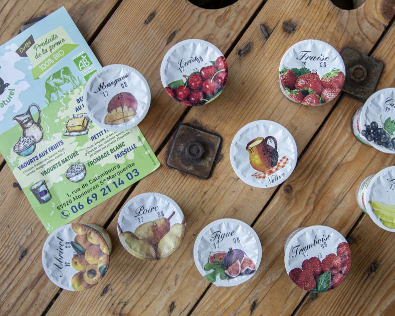 Les photos de Véro Hirondelle au naturel