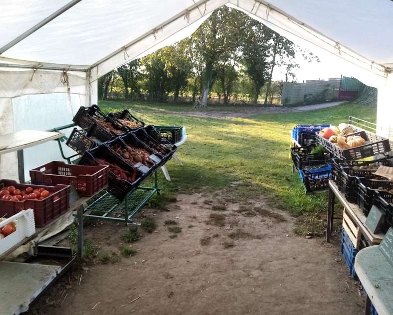 Sébastien Jacob Jardins et saveurs