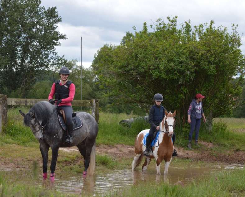 Ecole équitation Saint-Avold École d'équitation de Saint-Avold